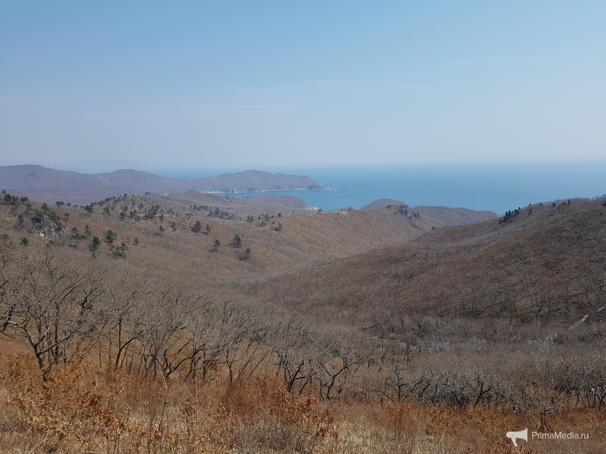 Скалистая вершина Курочка в Крыму