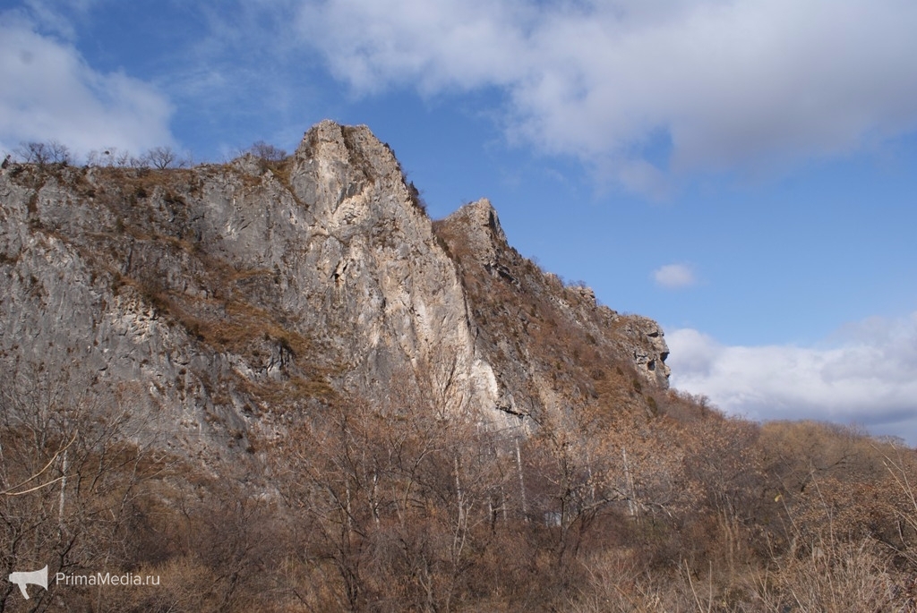 Палеодеревня Приморский край