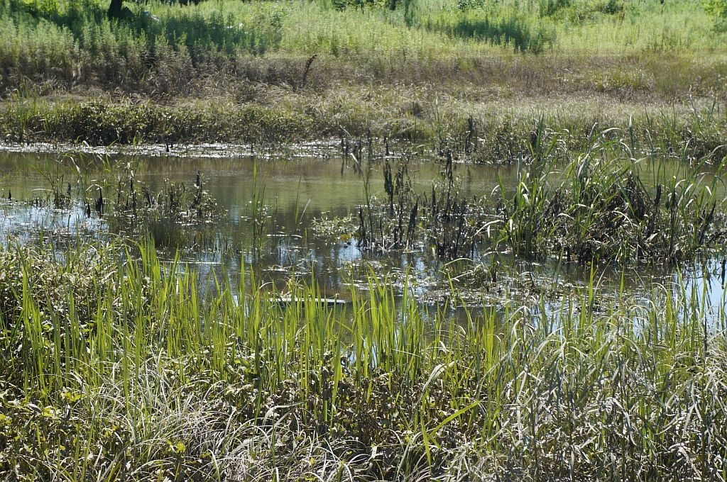 Стул плавает на поверхности воды