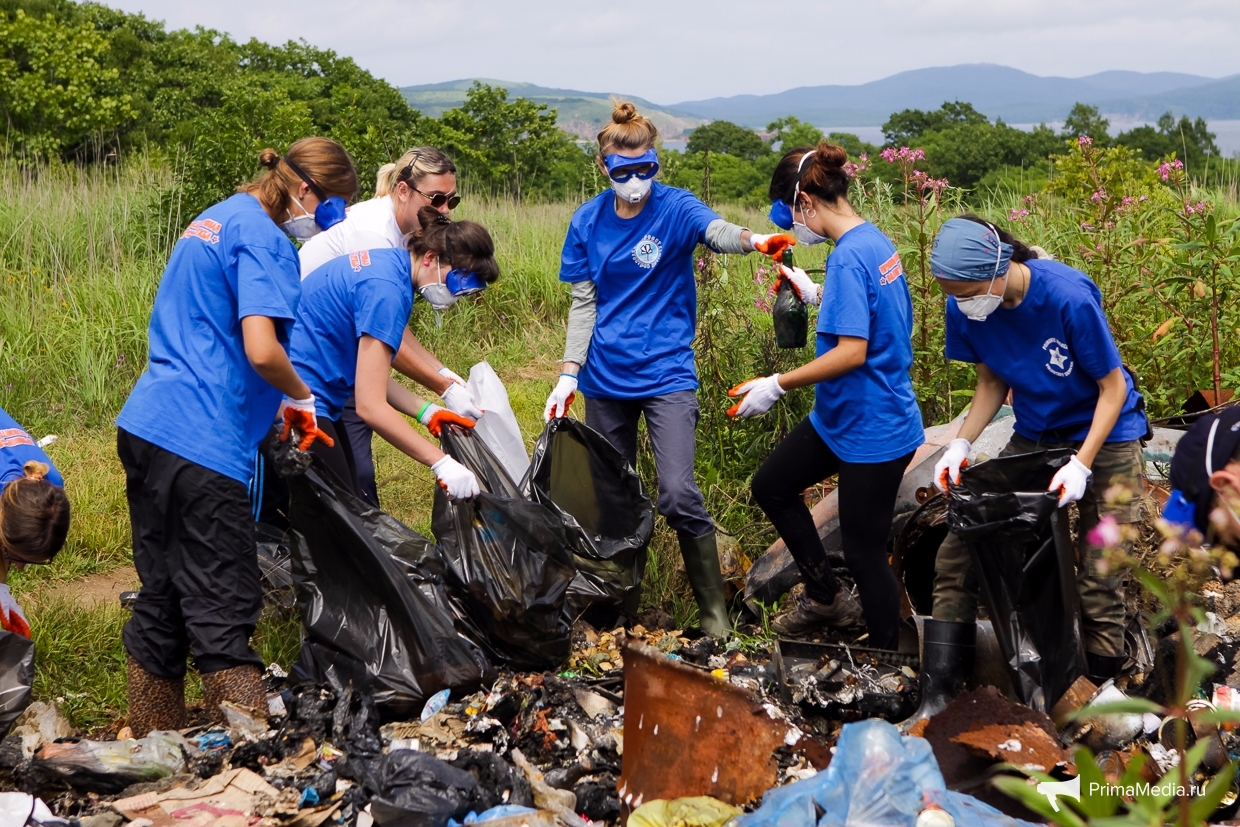 Проблемы экологии волонтерское экологическое движение