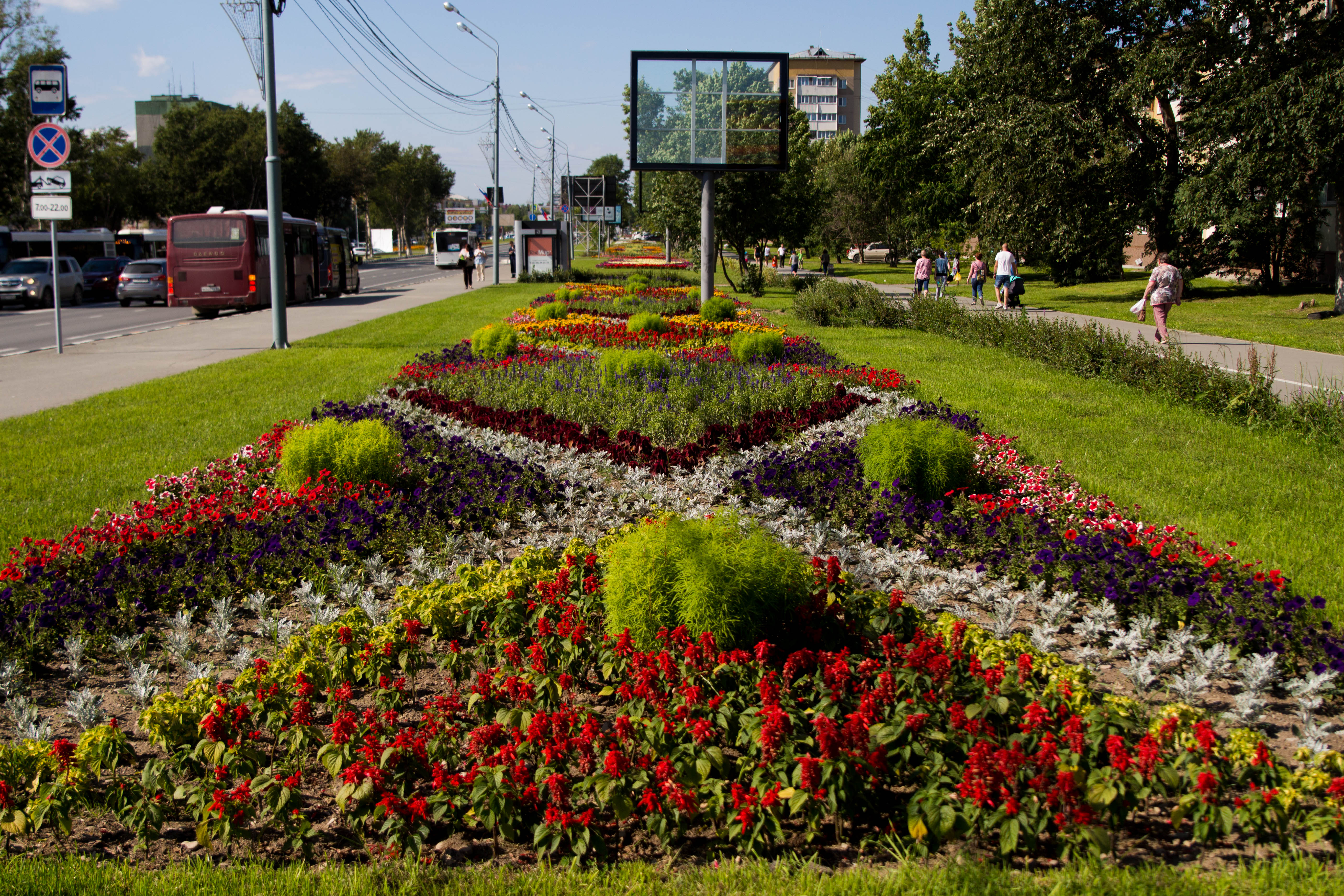 Городские цветы фото