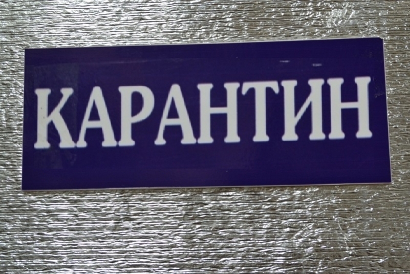 Карантин Дома Картинки