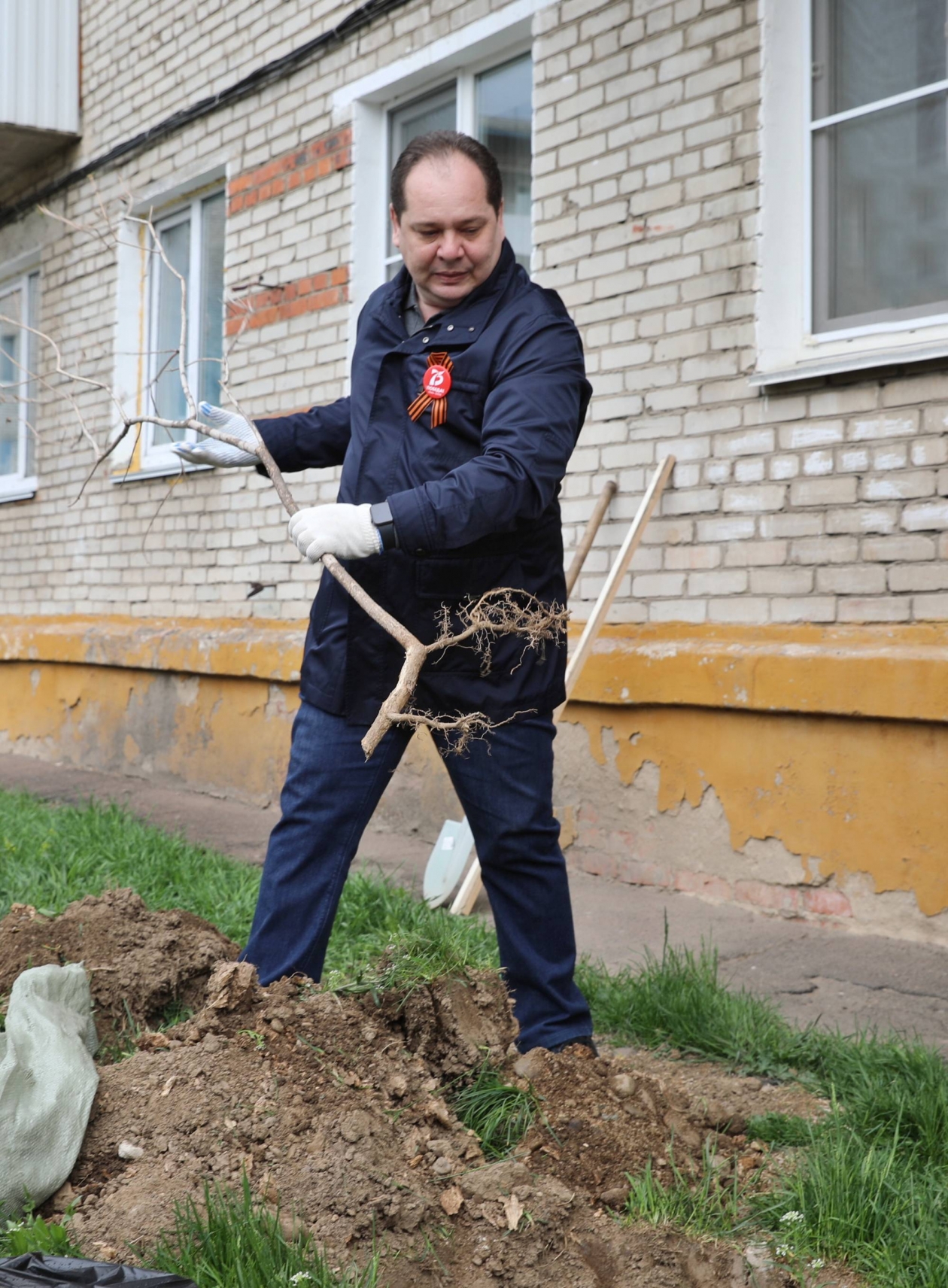 Открыли череду