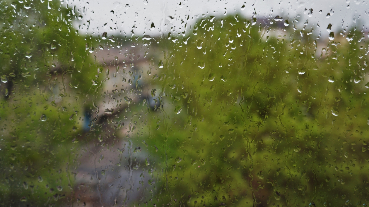 Дождь начавшийся утром. Омск без осадков Солнечный день.
