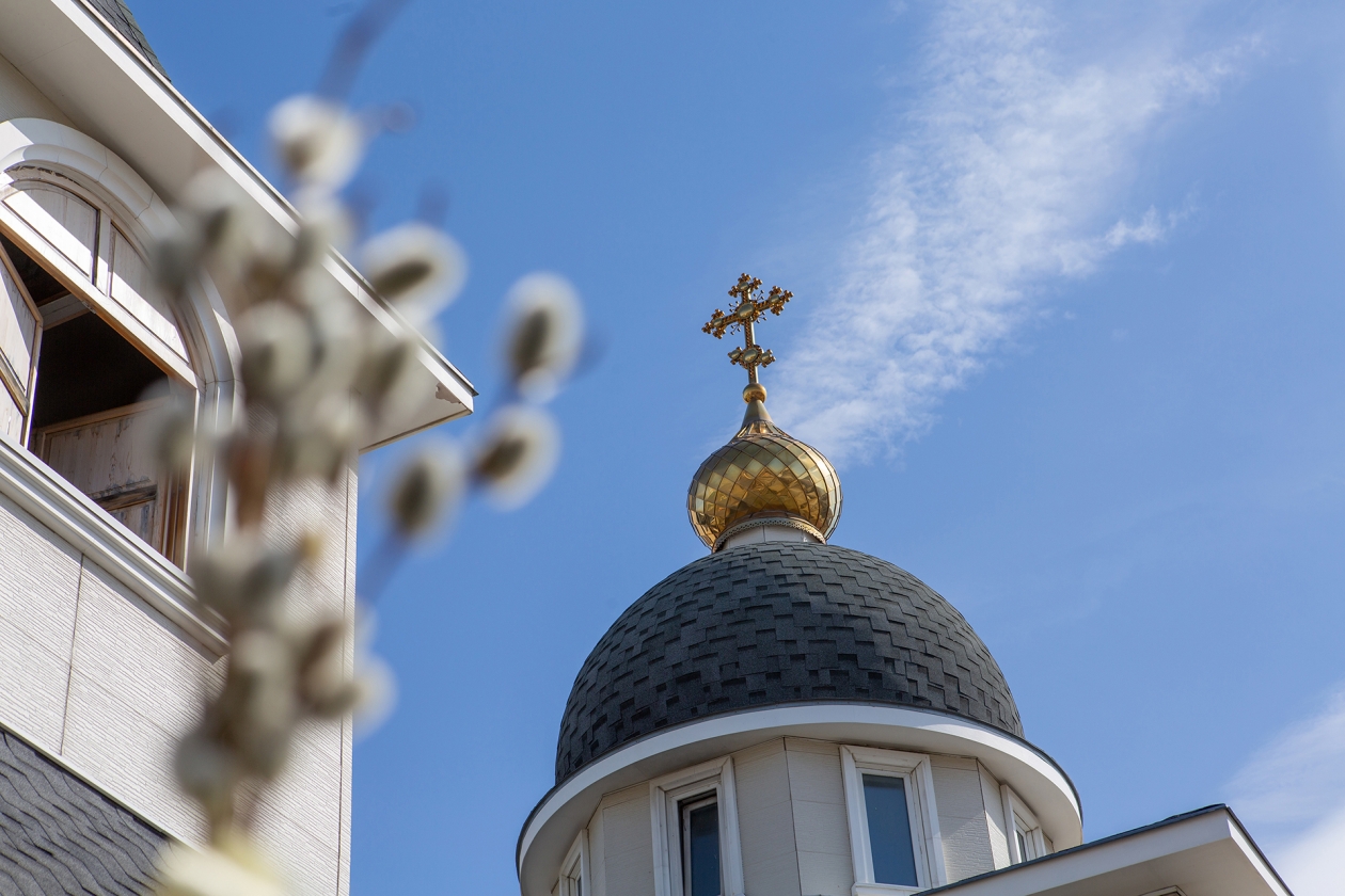 Бульвар святителя Иннокентия Южно Сахалинск