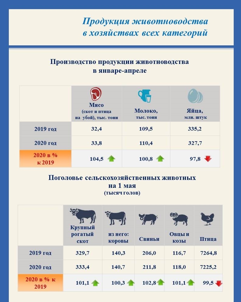 Официальная статистика иркутская область