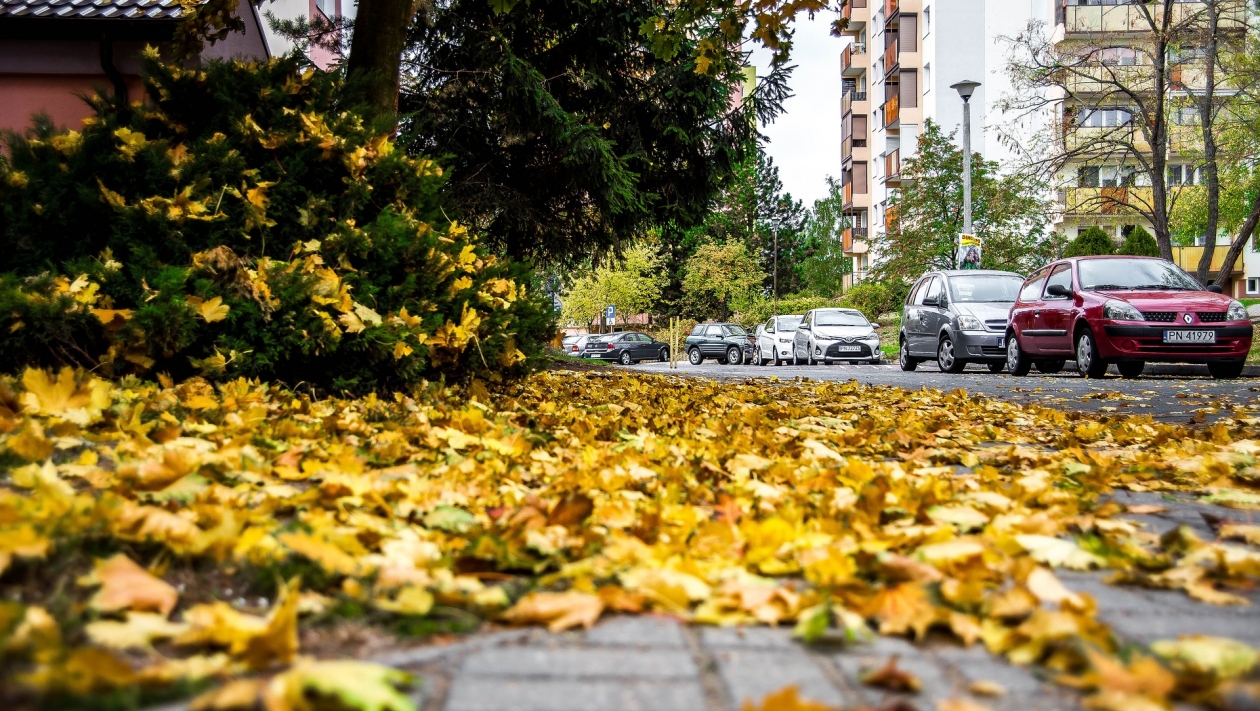 Альфа осенняя ул 9 фото Что нужно сделать с машиной в сентябре, чтобы ездить без проблем всю осень - Pri