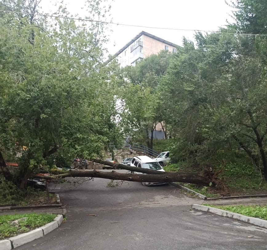 Русский медичи буря во владивостоке читать. Ураган во Владивостоке. Майсак Владивосток. После урагана во Владивостоке. Владивосток Тайфун 2001.