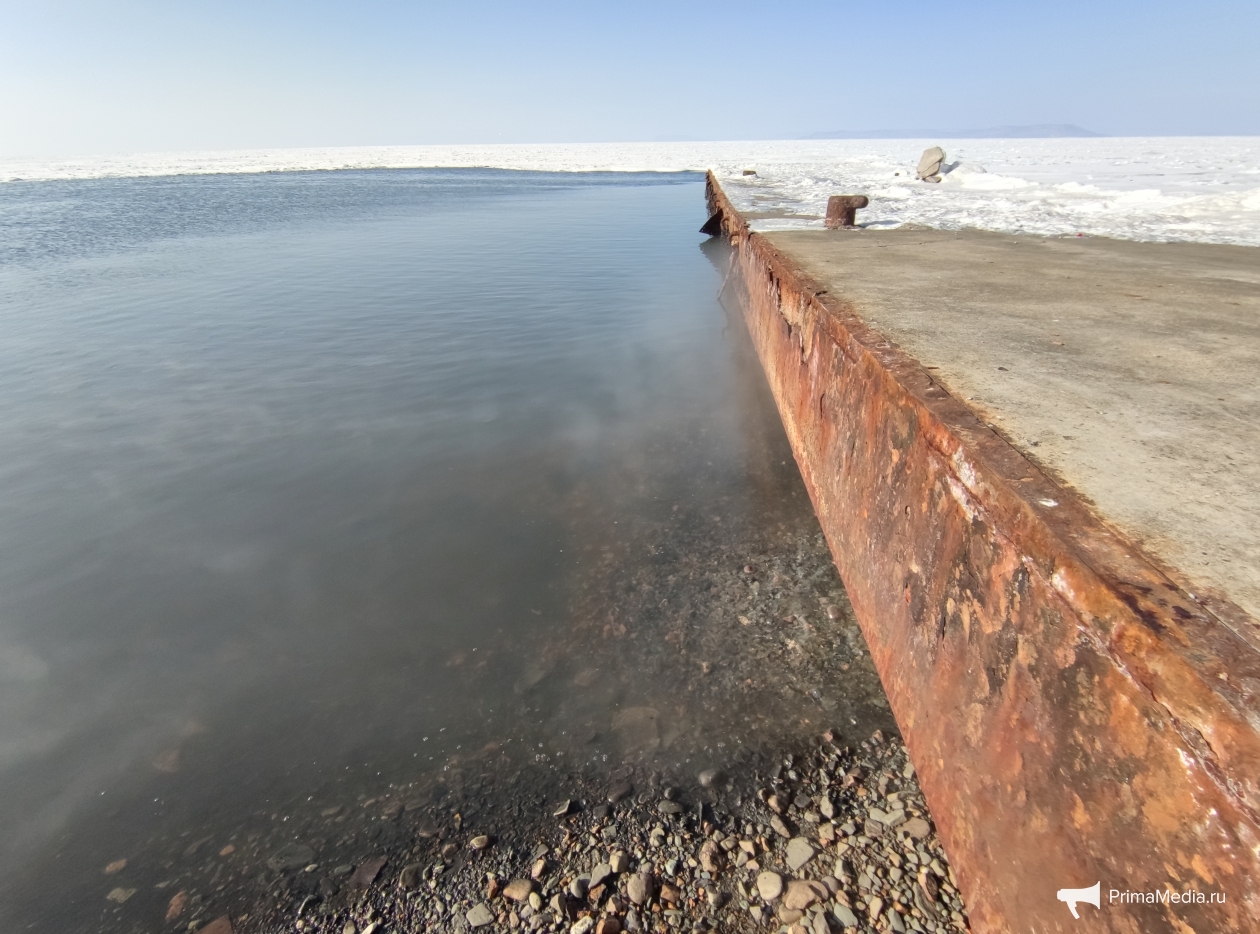 море вони, почему море пасифик коричневое, прибой моря вонючка, почему море не замерзает