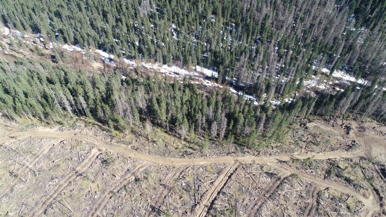 Фото Вырубленной Тайги Со Спутника