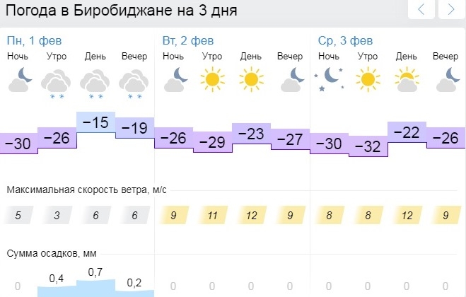 Погода новый уренгой на месяц май 2024. Гисметео новый Уренгой. Прогноз погоды в Снежном на 10 дней. Погода в Снежном на 10. Снежная погода.