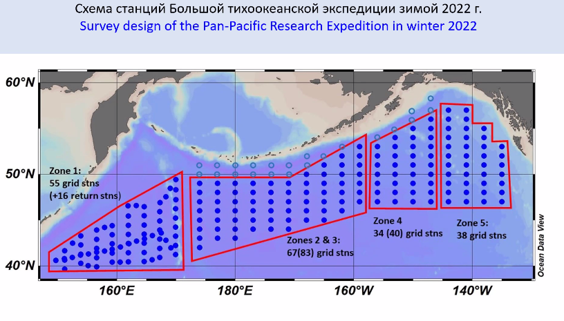Тихоокеанская зона. Тихоокеанская Экспедиция. 27 Тихоокеанская зона вылова. Джесуповская Северо-Тихоокеанская Экспедиция.