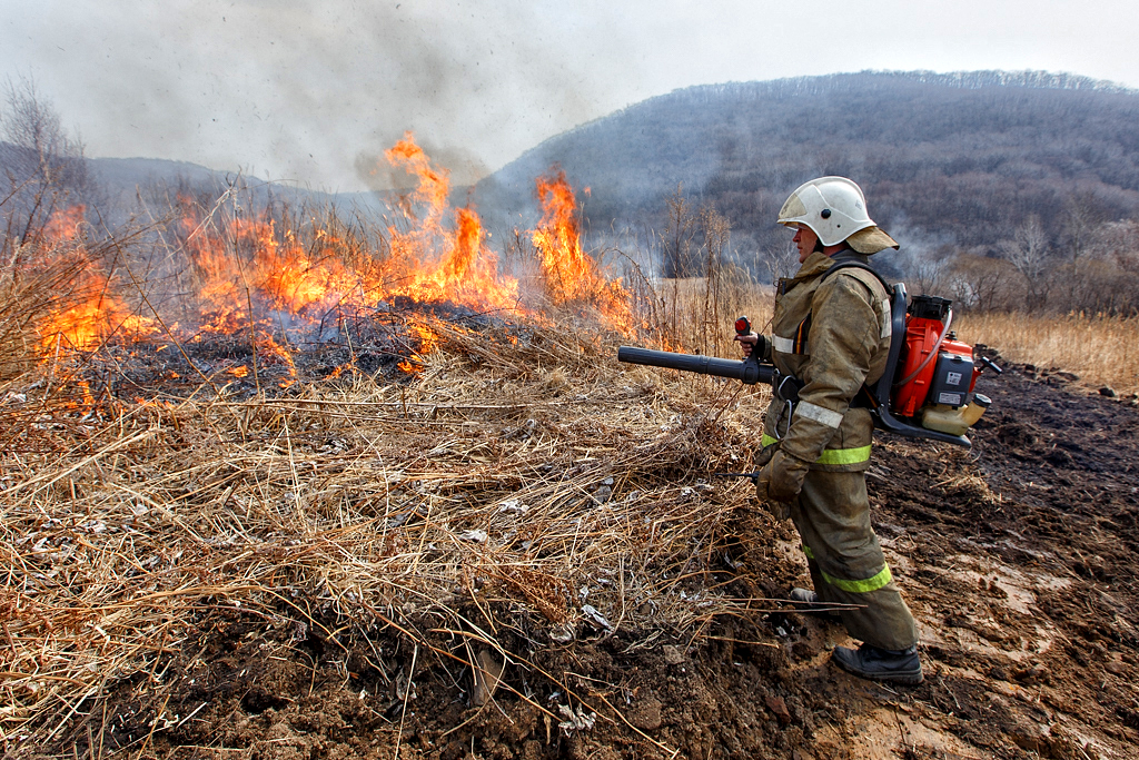 Повышенная пожароопасность. Пожароопасный период. Лесные пожары. Ландшафтный пожар.
