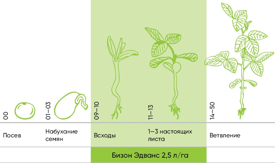 Схема защиты сои от сорняков