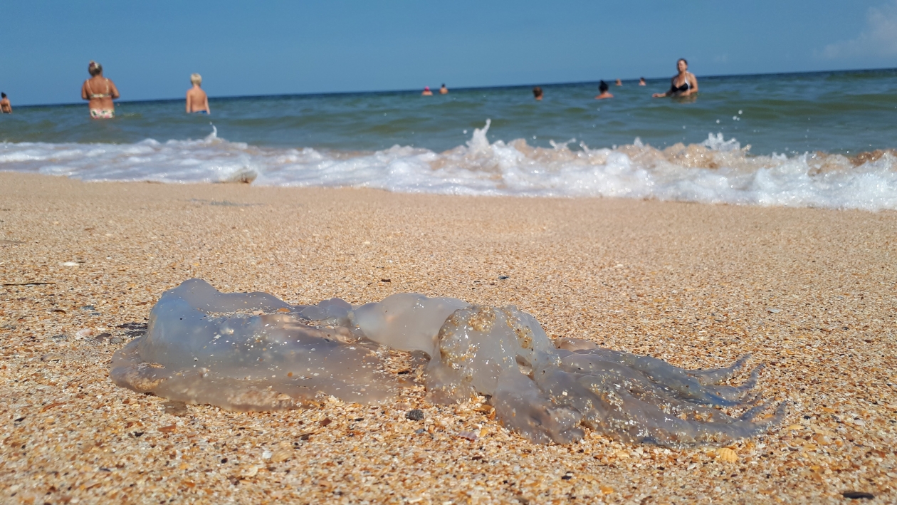 Крым вода азовское море