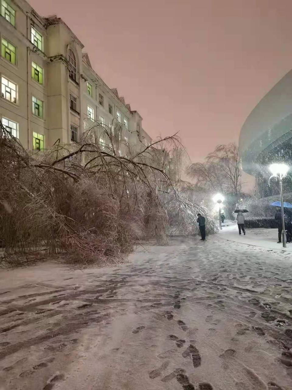 Харбин видео