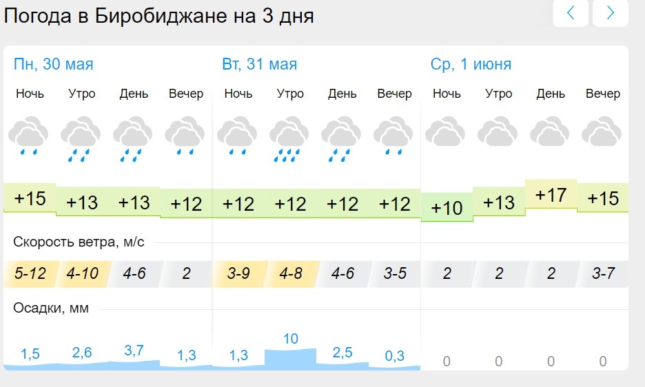 Погода чайковский на 10 дней точный гисметео. Гисметео дождь.