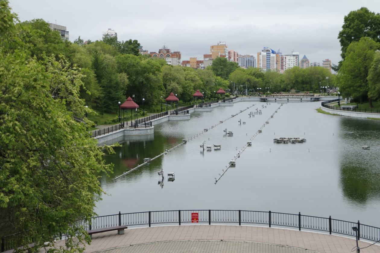 Городские пруды хабаровск парк динамо фото