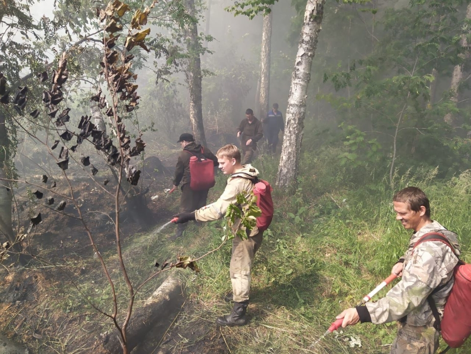 Forest 19. Пожар в лесу. Пожар в тайге. Лесные пожары Хабаровский край. Лесной пожар фото.