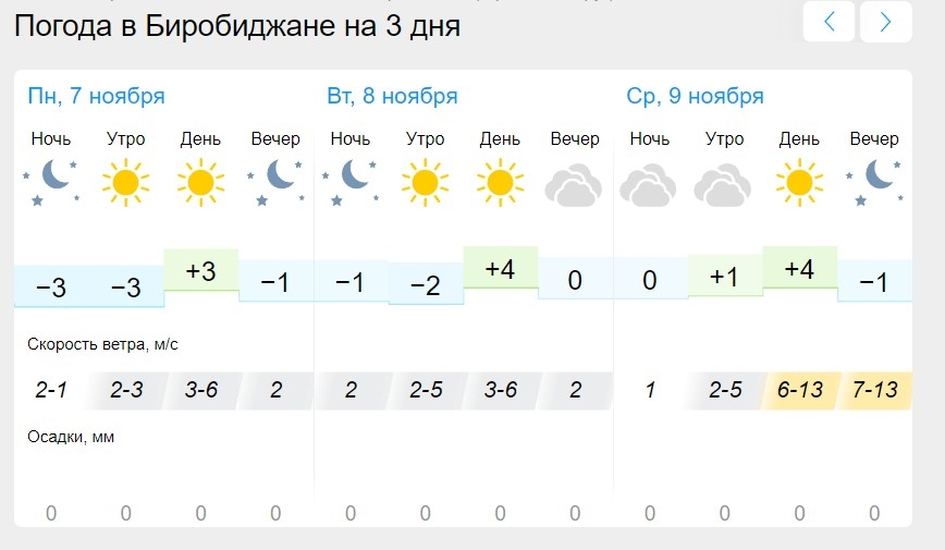 Погода в Биробиджане на 10 дней.