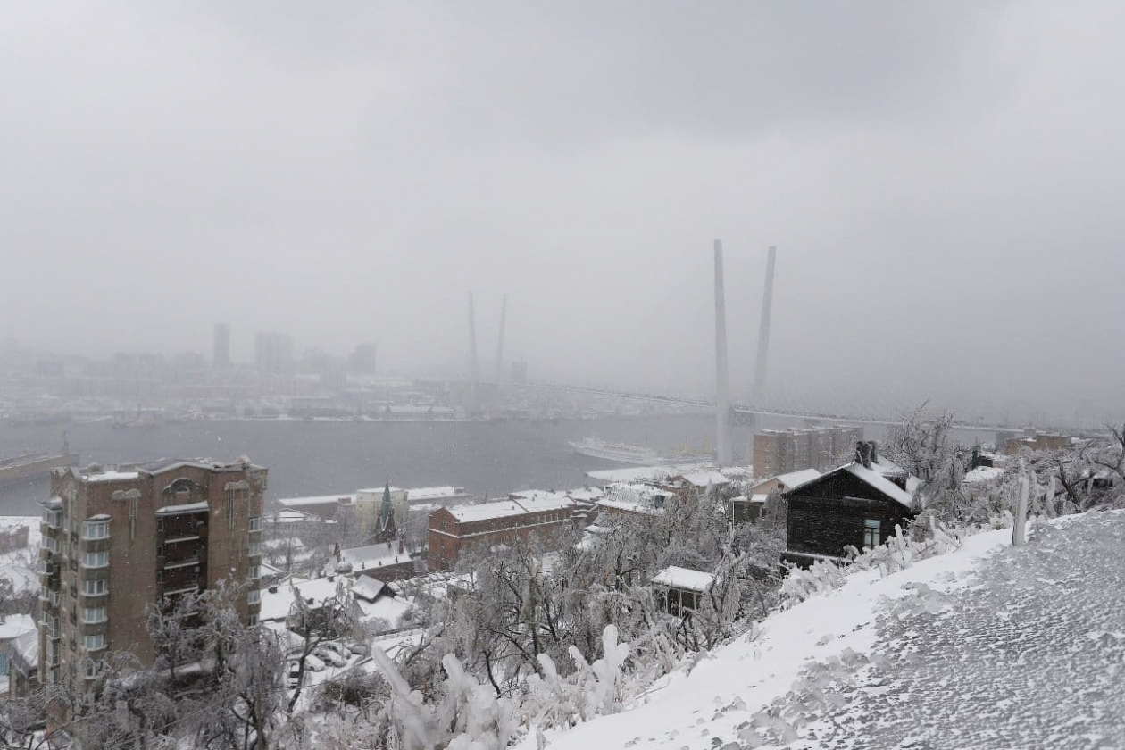 Снег в приморье сегодня. Приморье непогода. Снег во Владивостоке. Ледяной дождь Владивосток. Владивосток в декабре.