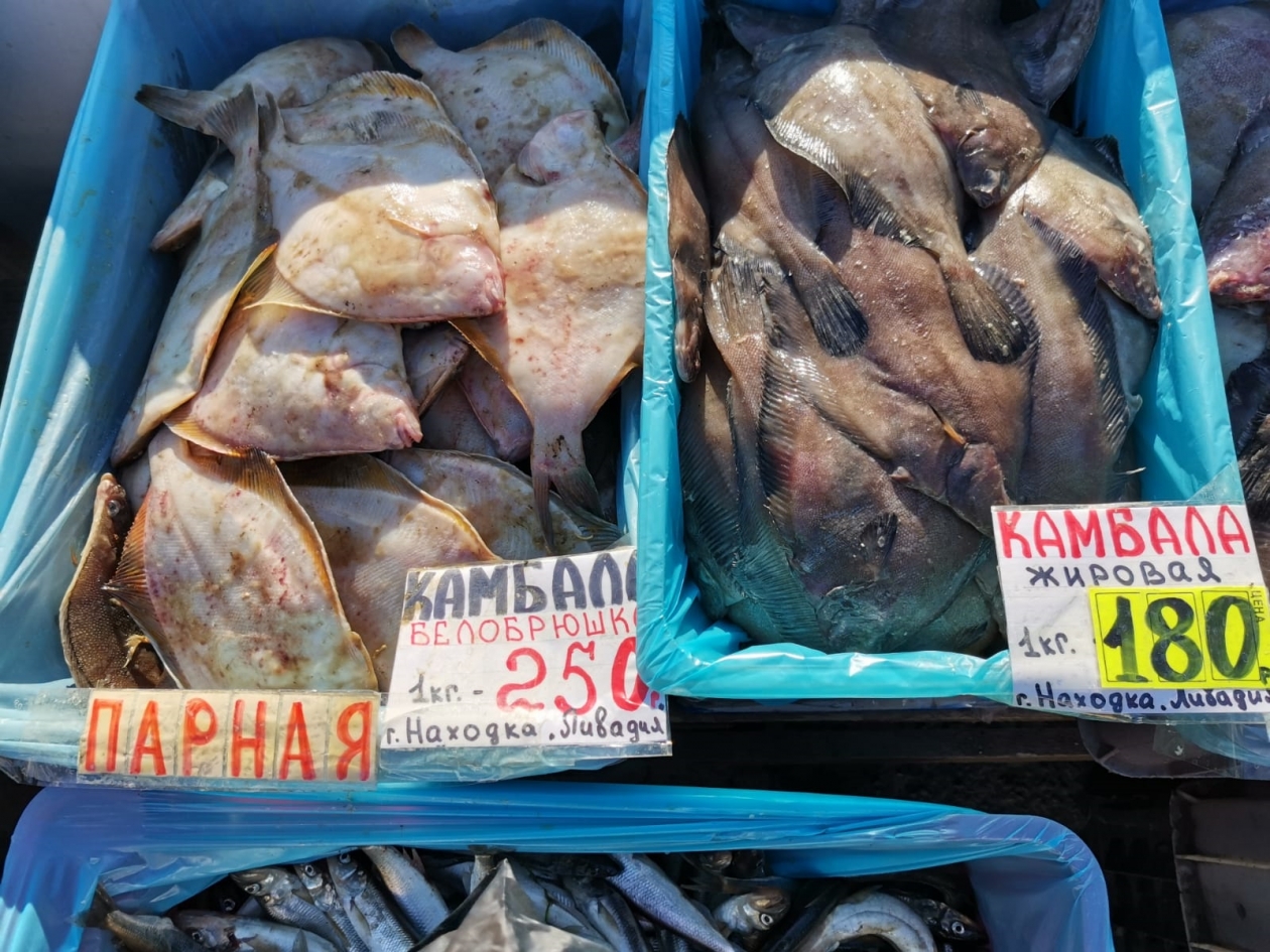 Купить рыбу во владивостоке. Простипома рыба. Рыба простипома фото. Рыба Владивосток. Знаменитая рыба Владивостока.