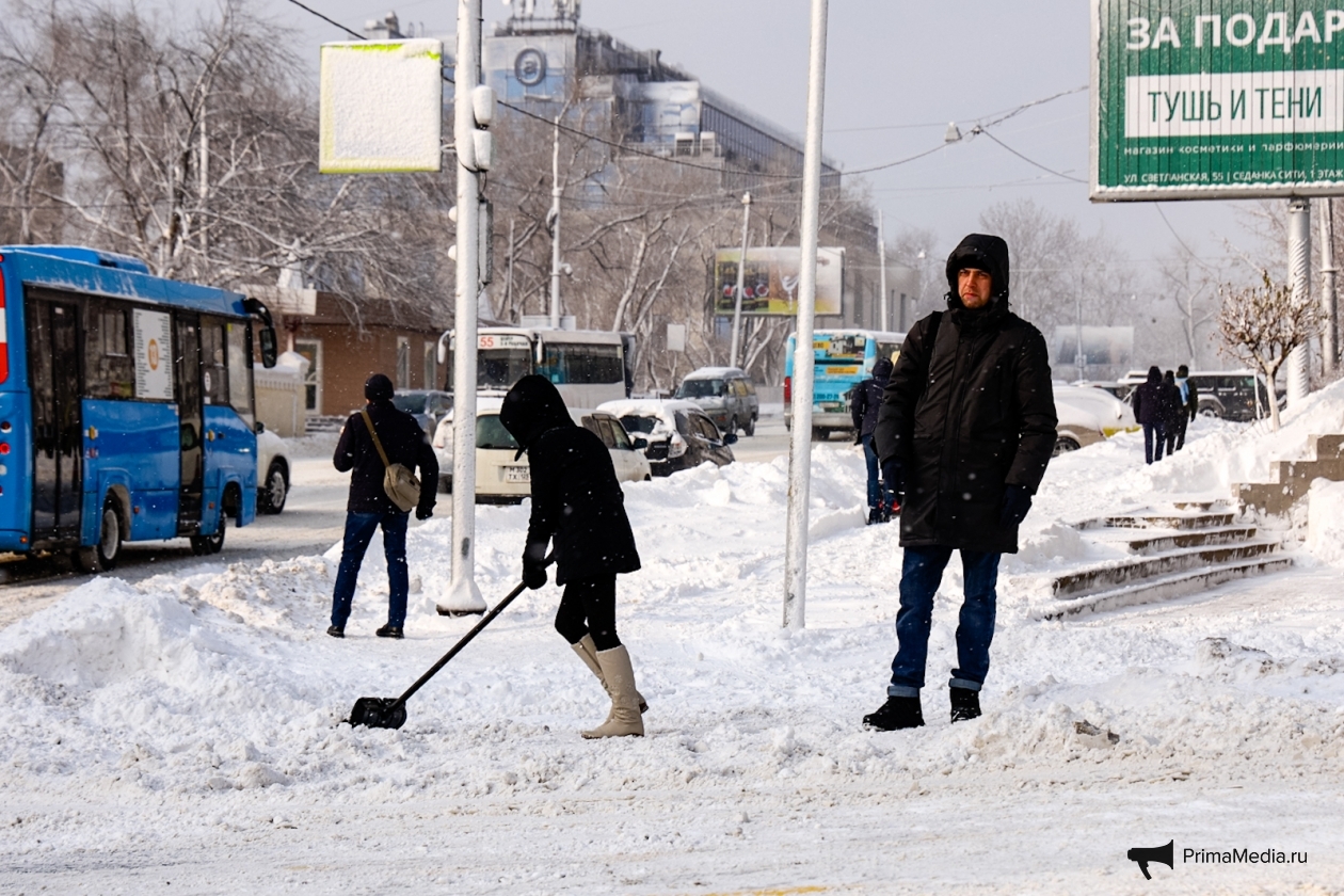 Снег в приморье сегодня. Снежный циклон. Циклон в Приморье. Снежная буря в Приморье и на Сахалине. Фото метели во Владивостоке.