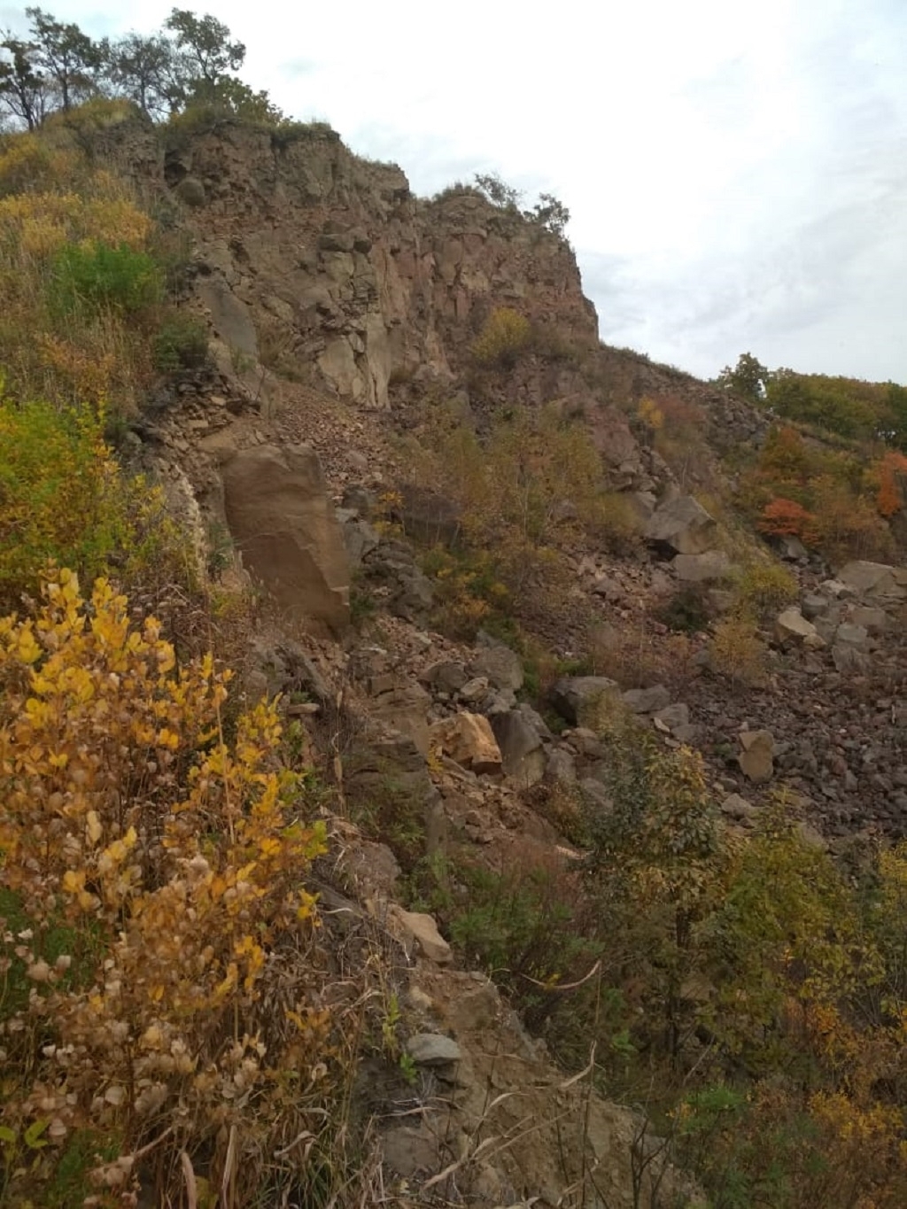 Сопки уссурийска. Сопка любви Уссурийск. Сопка лохматая. Уссурийск сопка сопка любви. Сопка лохматая Приморский край.