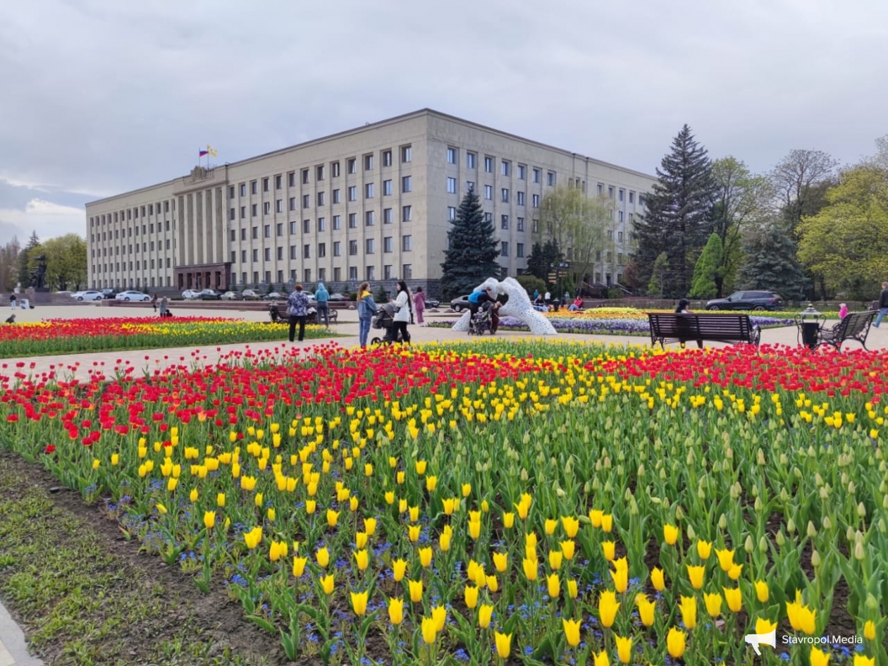 Ставрополь центр. Площадь Ленина Ставрополь 1960е. Ставрополь центр города. Хмельницкий Ставрополь центр.