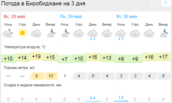 Погода на неделю. Погода в Биробиджане на месяц.