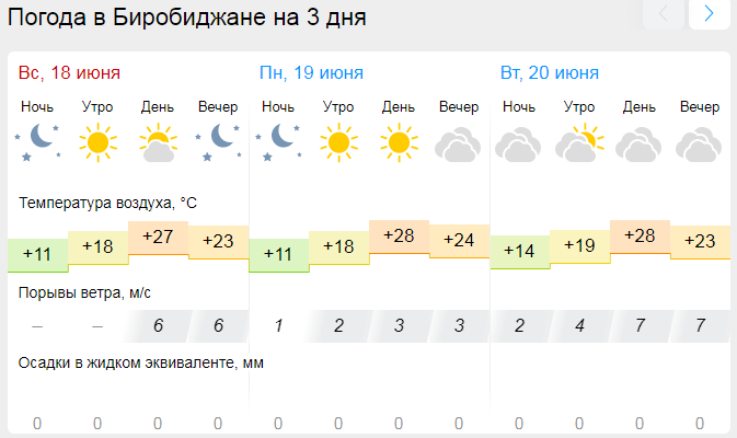 Погода в уфе на июнь гисметео. Погода. Погода в Биробиджане. Погода на июнь. Гисметео.
