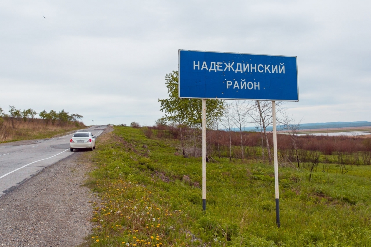 Новый надеждинский. Надеждинское Приморский край. Надеждинский районный.