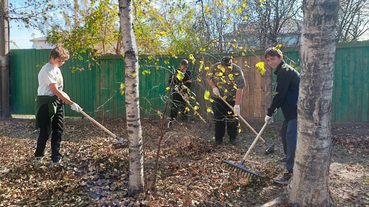 Субботник грабли фото.