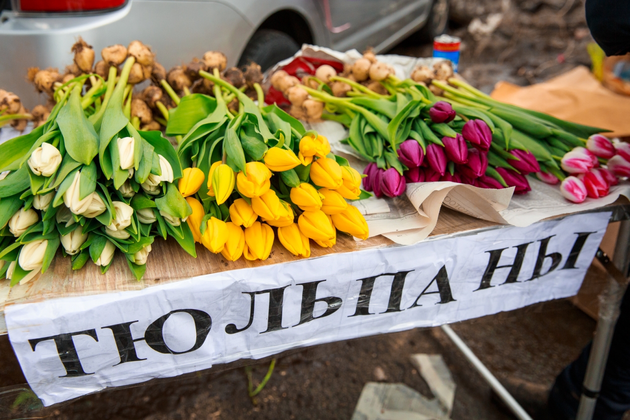 Купить Цветы К 8 Марту